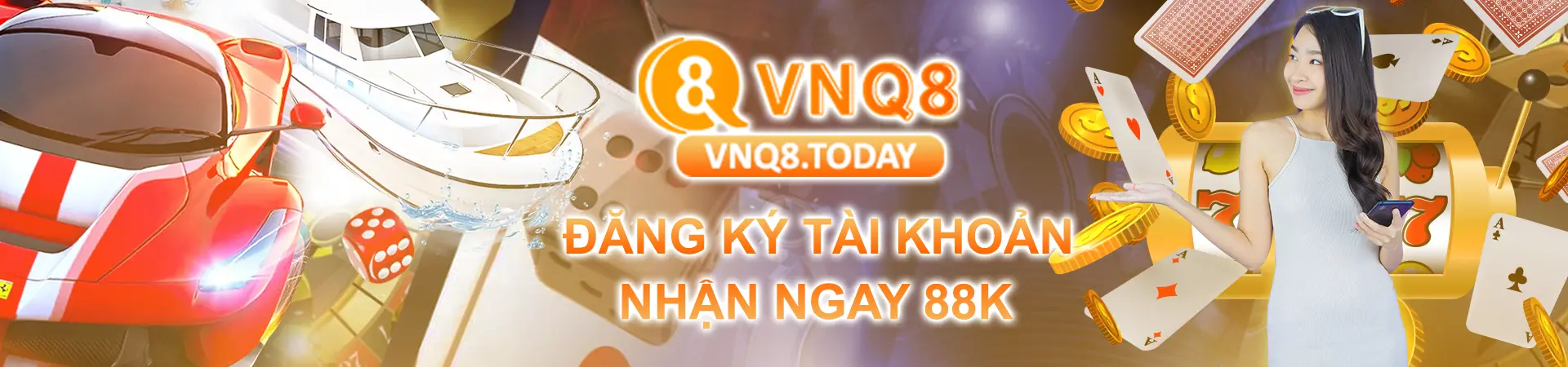 Banner VNQ8