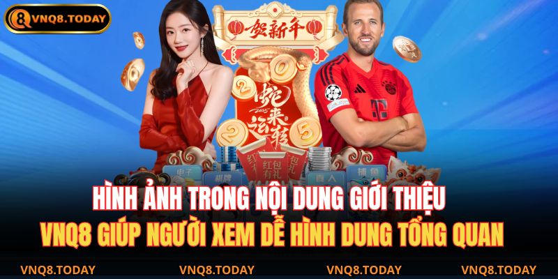 Giới Thiệu VNQ8 3 Hình ảnh trong nội dung giới thiệu VNQ8 giúp người xem dễ hình dung tổng quan