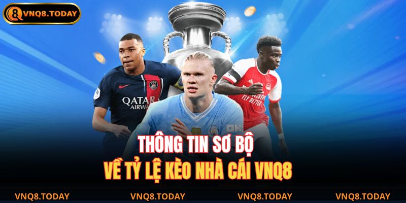 Tỷ Lệ Kèo Nhà Cái VNQ8 – Bí Quyết Đọc Kèo Chuẩn Xác Nhất 2 Thông tin sơ bộ về tỷ lệ kèo nhà cái VNQ8