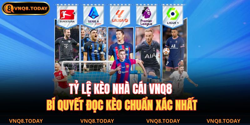 Tỷ Lệ Kèo Nhà Cái VNQ8 – Bí Quyết Đọc Kèo Chuẩn Xác Nhất 1 tỷ lệ kèo nhà cái VNQ8